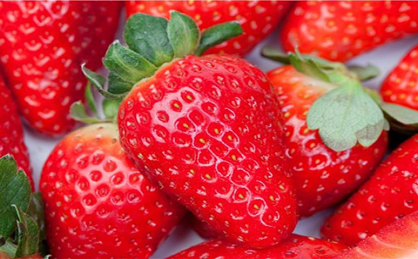 泰安草莓采摘分享草莓的采摘乐趣，采摘效益翻倍